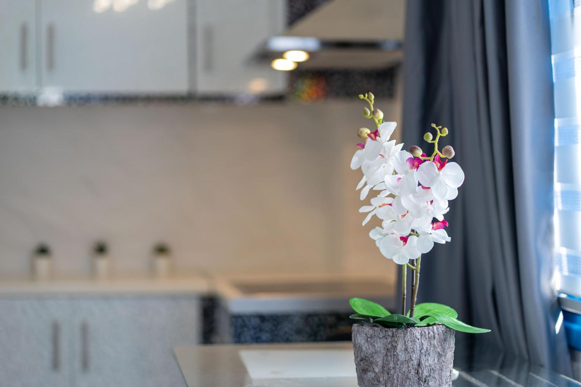 Santorita Suites Akrotírion Buitenkant foto