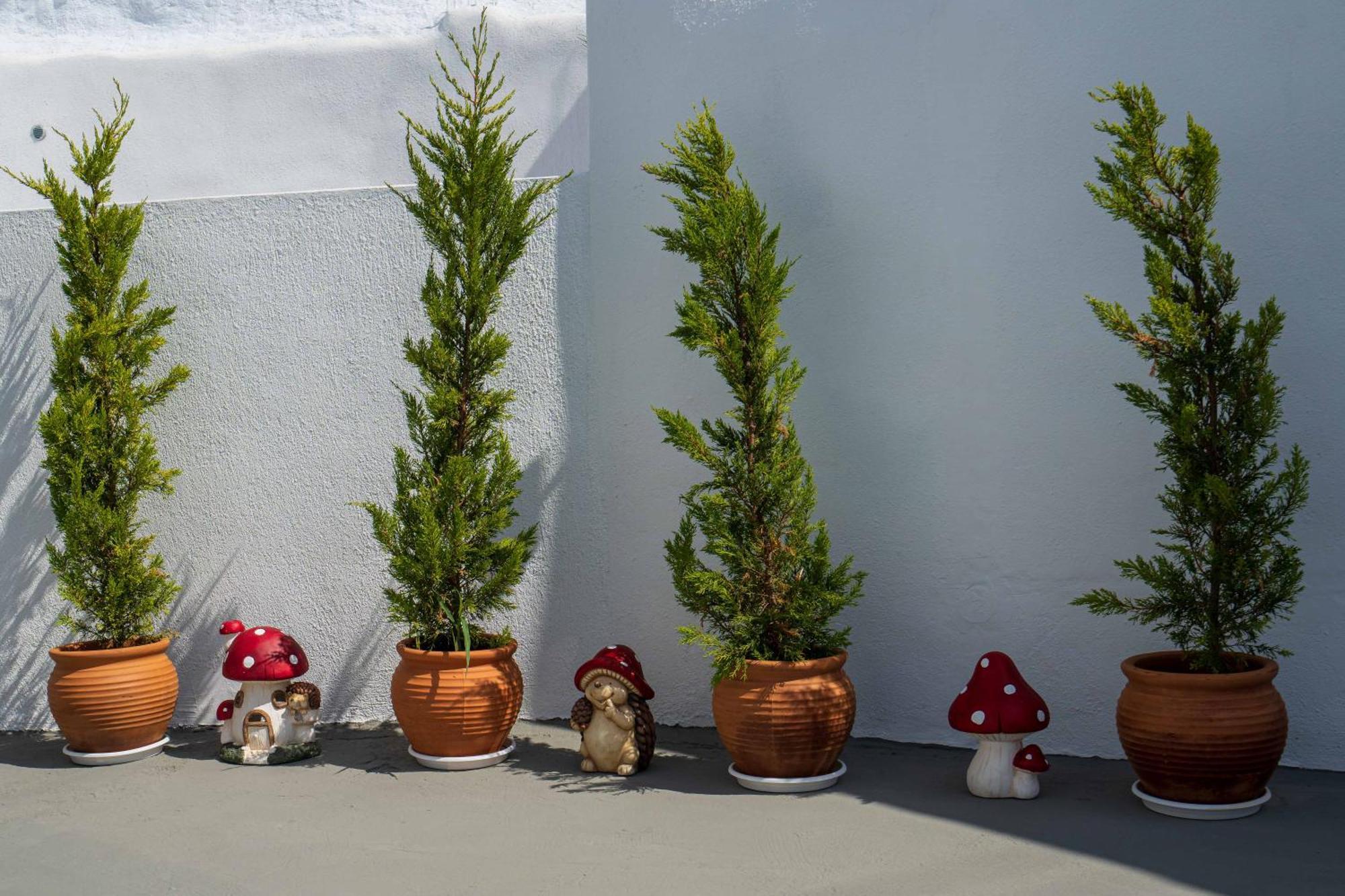 Santorita Suites Akrotírion Buitenkant foto
